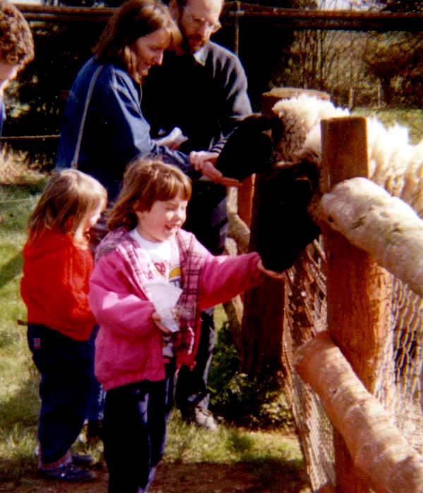 Finkley Down Farm - Andover